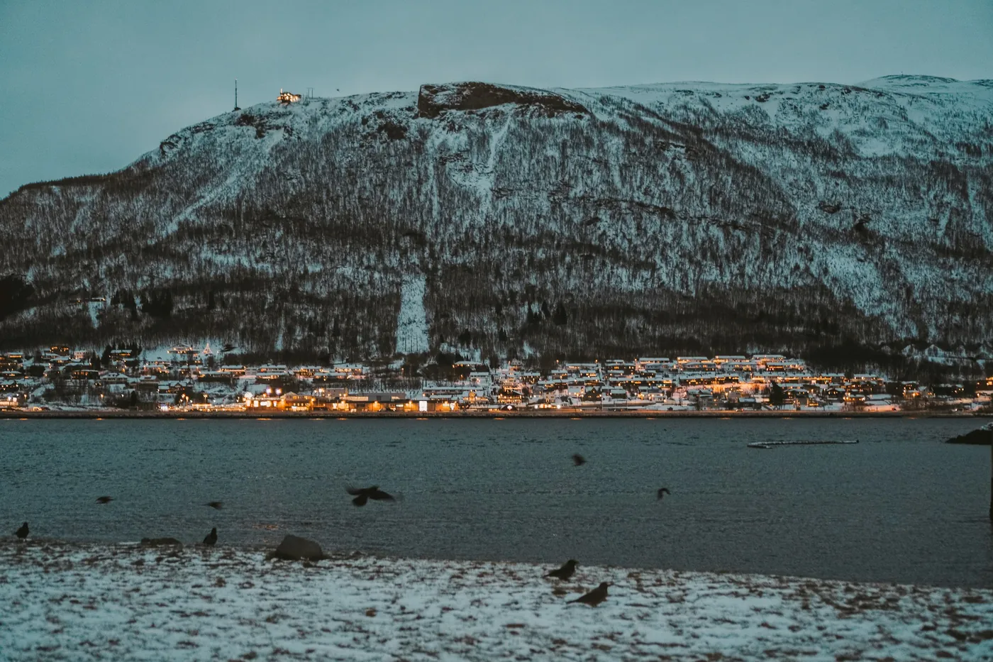 Tromsø sotto una montagna innevata nella luce fioca e nuvolosa di dicembre