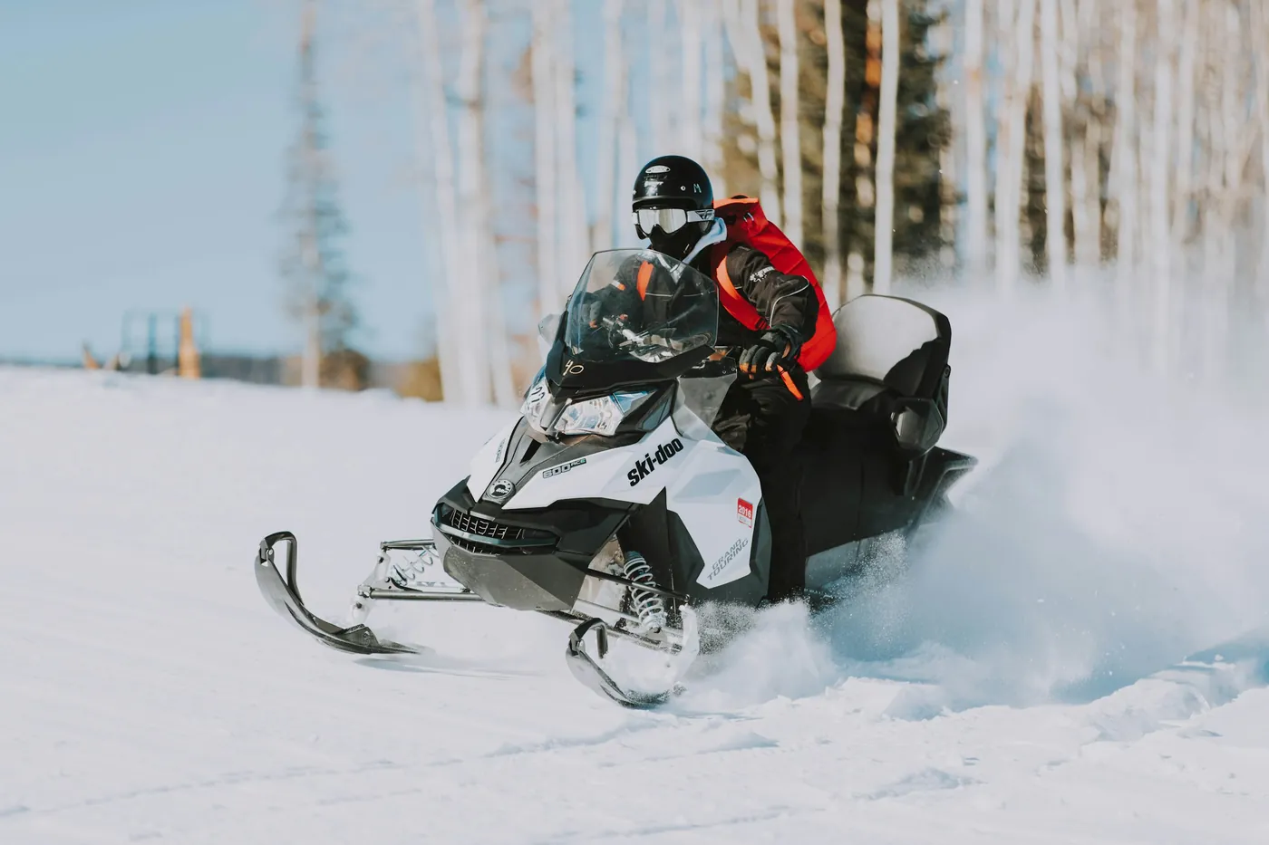 A rider on a snowmobile throwing up snow in a birch forest