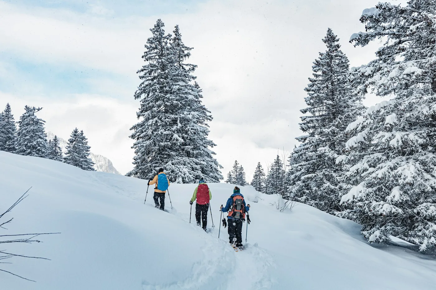 Tre escursionisti che salgono nella neve alta tra abeti innevati